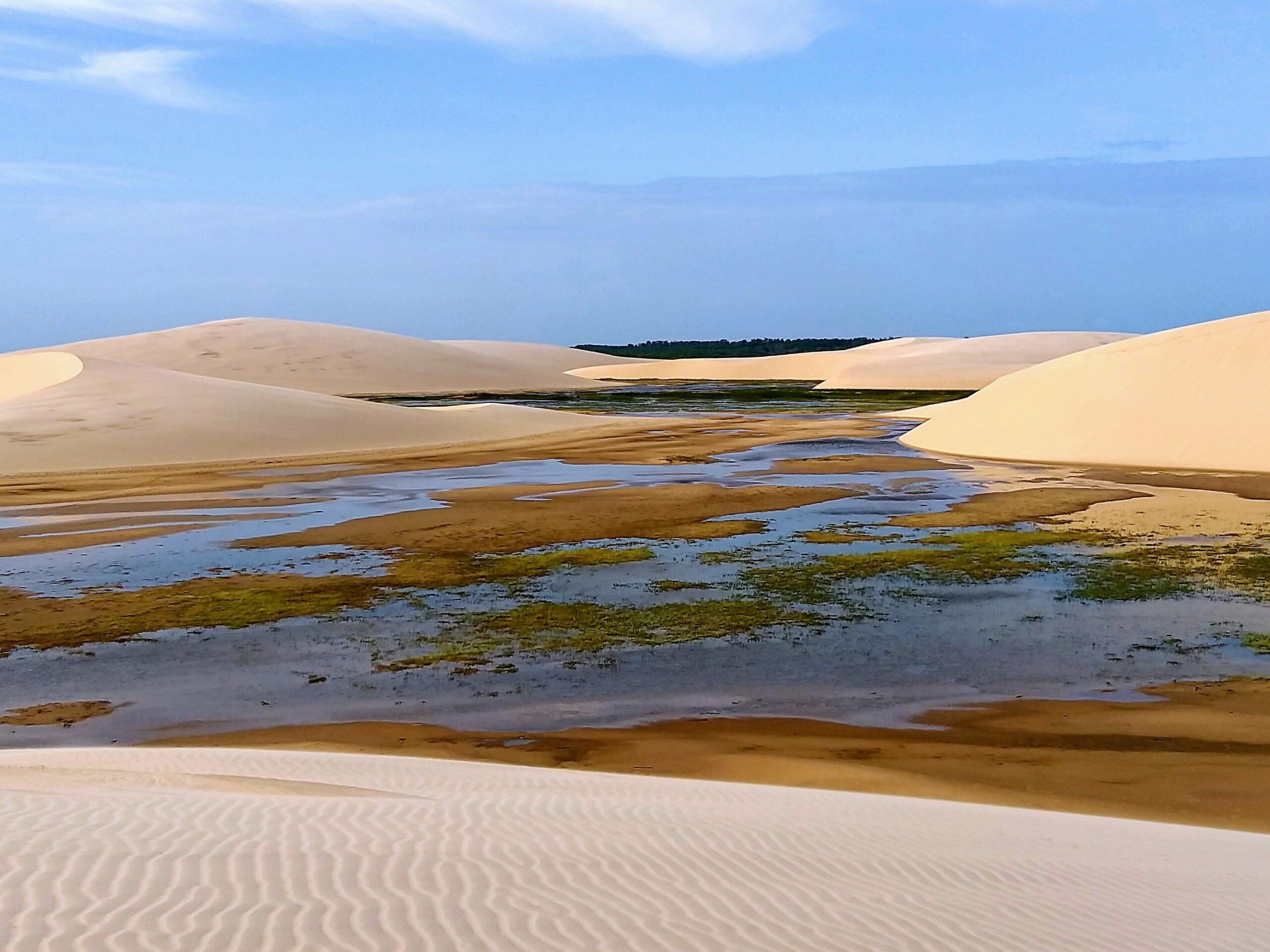 Encantos Naturais do Delta do Parnaíba: O Encontro do Maranhão com o Piauí