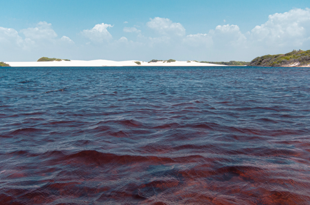 Lagoa nos Lençóis Maranhenses