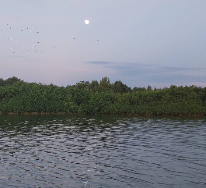 Rio Preguiças ao entardecer