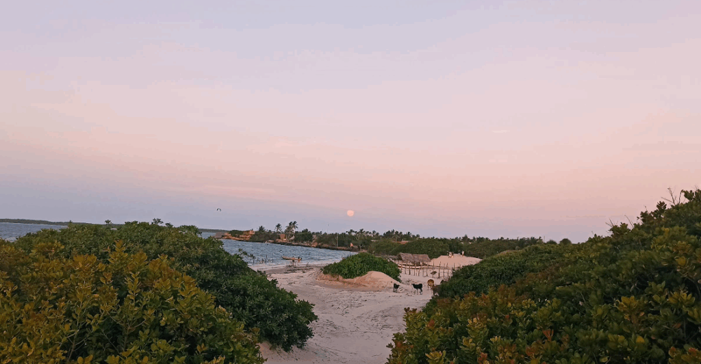 Vista da Vila de Atins, Barreirinhas - MA
