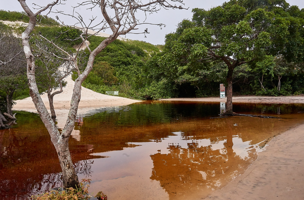 Igarapé próximo aos Lençóis Maranhenses 