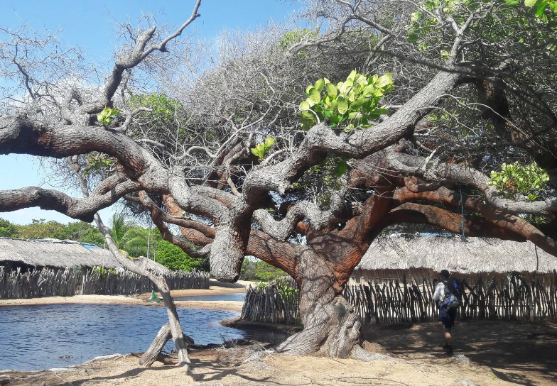 Trilha até o Povoado Queimada dos Britos, Santo Amaro - MA